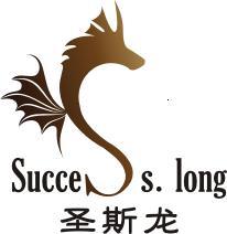 圣斯龙服饰Success-long