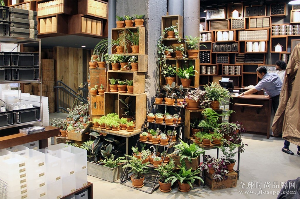 large_muji-fifth-avenue-nyc-store-opening-flagship-succulents-house-plants