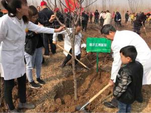 临沂五洲男科医院割包皮行不行 积极植树 为绿色健康打call