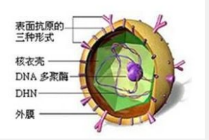 南京万厚中医肝病医院治疗正规吗 人和心诚德高业精