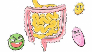 5.29世界肠道健康日,运城众泰但愿人“肠”久